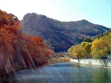 澳门二四六天天彩图库，暧昧神医